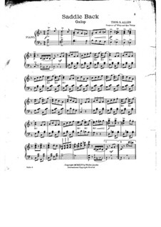 Saddle Back: Saddle Back by Thos. S. Allen
