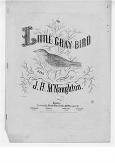 The Little Gray Bird: The Little Gray Bird by John Hugh McNaughton