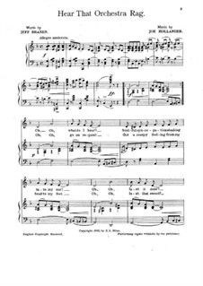 Hear That Orchestra Rag: Hear That Orchestra Rag by John Holden