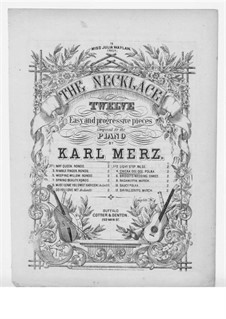 Chick a Dee Dee Polka: Chick a Dee Dee Polka by Karl Merz