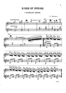 Birds of Spring. A Woodland Sketch: Birds of Spring. A Woodland Sketch by Edward Hoffman