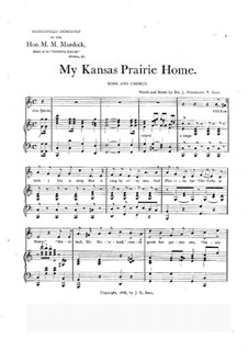 My Kansas Prairie Home: My Kansas Prairie Home by J. Ferdinand V. Saul