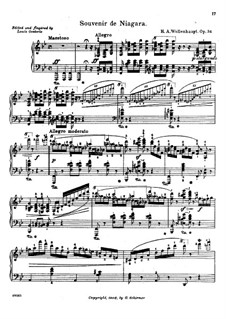 Souvenir de Niagara, Op.34: Souvenir de Niagara by Германн Адольф Волленгаупт