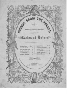 Canary Schottisch: Canary Schottisch by Unknown (works before 1850)