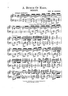 Potpourri on Bunch of Rags: Potpourri on Bunch of Rags by Benjamin M. Jerome