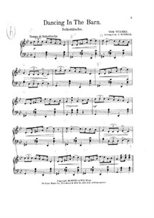Dancing in the Barn: Dancing in the Barn by Tom Turner