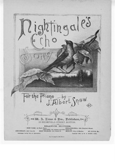 Nightingale's Echo Song: Nightingale's Echo Song by J. Albert Snow