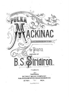 The Polka Mackinac: The Polka Mackinac by B. S. Stridiron