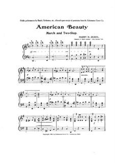 American Beauty: American Beauty by Harry H. Zickel