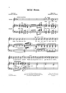 Wild Rose: Wild Rose by Ernest R. Ball