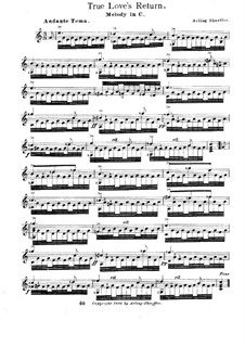 True Love's Return: True Love's Return by Арлинг Шаффер