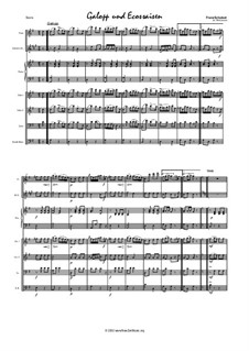 Галоп и восемь экосезов, D.735: Для салонного оркестра by Франц Шуберт