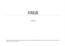 Steeze: Steeze by Bob Baxter