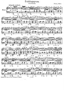 Fruhlingsgruss: Fruhlingsgruss by Франц Бер