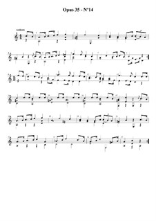 Двадцать четыре упражнения для гитары, Op.35: Этюд No.14 by Фернандо Сор