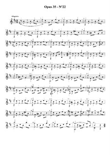 Двадцать четыре упражнения для гитары, Op.35: Этюд No.22 by Фернандо Сор