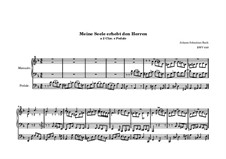 Chorale Preludes II (Schübler Chorales): My Soul Doth Magnify the Lord, for Organ, BWV 648 by Иоганн Себастьян Бах