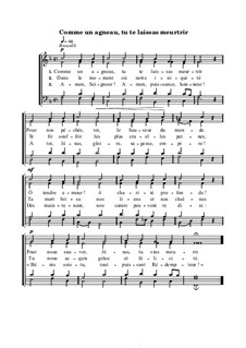 Comme un agneau, tu te laissas meurtrir: Comme un agneau, tu te laissas meurtrir by Луи Буржуа