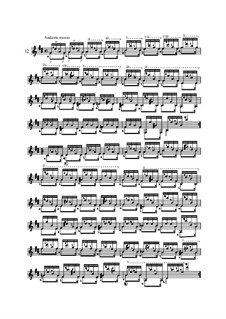 Двадцать пять этюдов для гитары, Op.60: No.12 by Маттео Каркасси