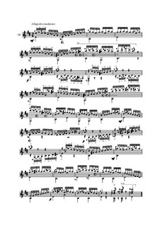 Двадцать пять этюдов для гитары, Op.60: No.14 by Маттео Каркасси