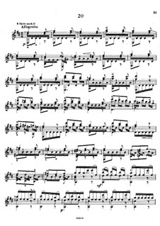 Двадцать пять этюдов, Op.38: Этюд No.20  by Наполеон Кост