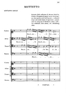 Buccinate in Neomenia tuba: Buccinate in Neomenia tuba by Джованни Кроче