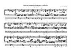Из-за грехопадения Адама испорчен мир, BWV 637: Для органа by Иоганн Себастьян Бах