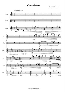Consolation: For flute, viola and guitar by Дэвид Соломонс