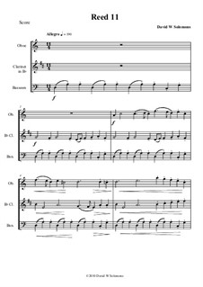 Reed 11: For oboe, clarinet and bassoon by Дэвид Соломонс