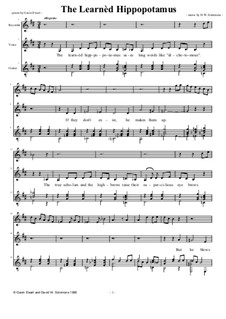 The learned hippopotamus for alto, descant recorder and guitar: The learned hippopotamus for alto, descant recorder and guitar by Дэвид Соломонс