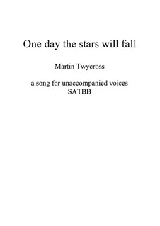 One day the stars will fall: One day the stars will fall by Martin Twycross