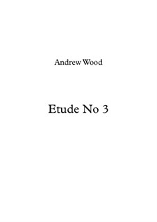 Etude No.3 in E Flat Major: Etude No.3 in E Flat Major by Andrew Wood