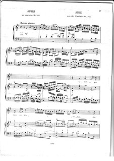 O heilges Geist- und Wasserbad, BWV 165: Arie by Иоганн Себастьян Бах