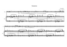 Song for Bass and piano No.7 on a poem of Arthur Rimbaud, MVWV 204: Song for Bass and piano No.7 on a poem of Arthur Rimbaud by Maurice Verheul