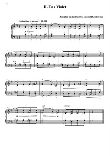 Нидерландская сюита: No.2 To a Violet by folklore