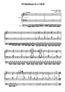 Прелюдия ми минор: Прелюдия ми минор by Николаус Брунс