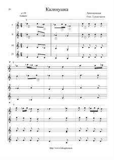 новиков при долине куст калины ноты. калинов куст аккорды. ой при лужку при лужке ноты. калина красная ноты для баяна. при долине куст калины ноты для баяна.