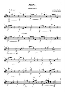 Этюд ми минор No.14: Этюд ми минор No.14 by Александр Затынченко