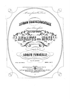 Трансцендентные этюды, Op.102: Для фортепиано by Адольфо Фумагалли