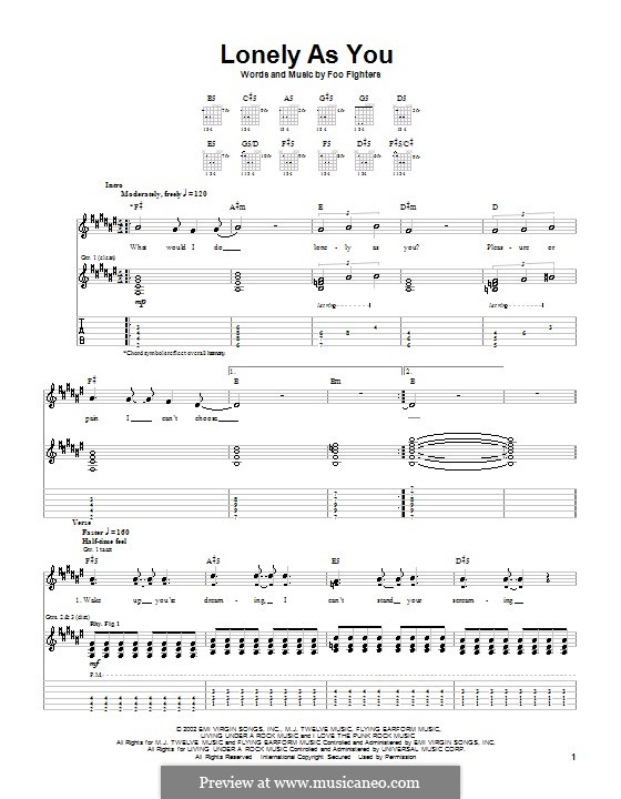 Lonely as You: Гитарная табулатура by Foo Fighters