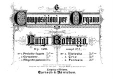 Шесть пьес для органа, Op.120: Сборник by Луиджи Боттаццо