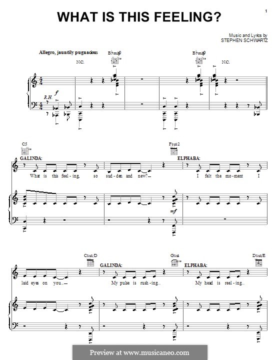 What Is This Feeling?: Для голоса и фортепиано (или гитары) by Stephen Schwartz